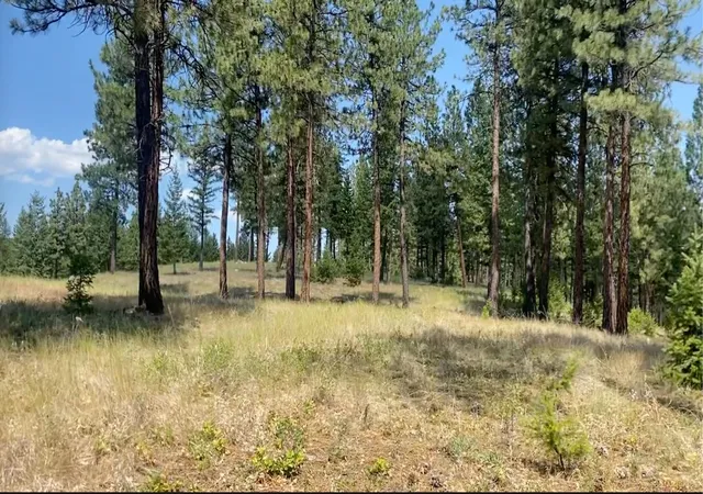 Photo 3 of Land for sale at Nhn Hillandale Trl, Eureka, MT 59917 | MLS# 30076285 | Listing updated on 2026-09-22