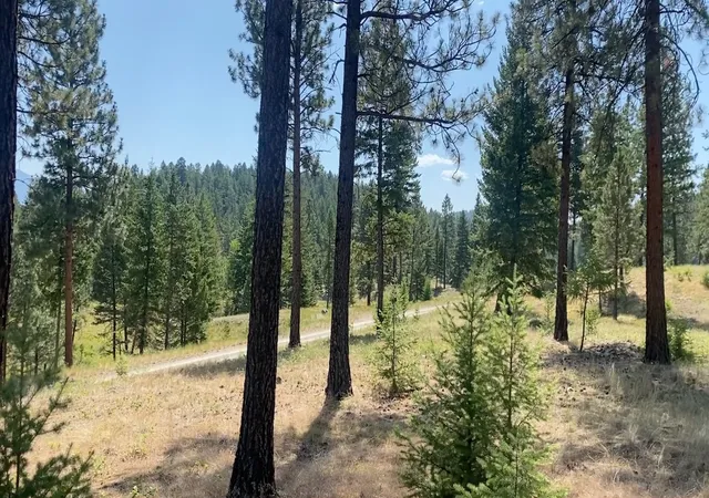 Photo 4 of Land for sale at Nhn Hillandale Trl, Eureka, MT 59917 | MLS# 30076285 | Listing updated on 2026-09-22