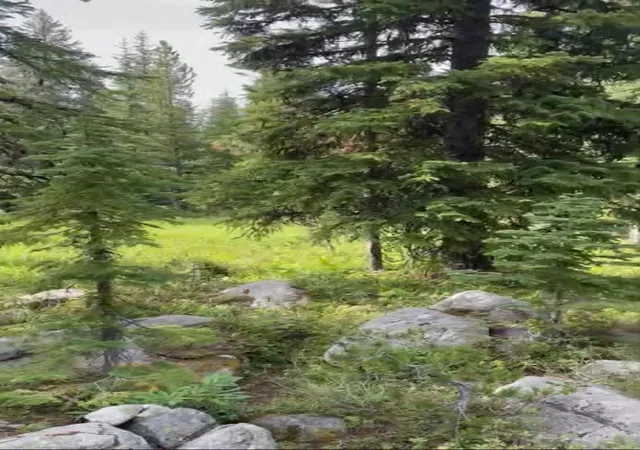 Photo 2 of Land for sale at Nhn Michael Davitt And The Kan Lode Granite Mining Rd, Philipsburg, MT 59858 | MLS# 30076496 | Listing updated on 2026-09-23