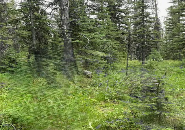 Photo 3 of Land for sale at Nhn Michael Davitt And The Kan Lode Granite Mining Rd, Philipsburg, MT 59858 | MLS# 30076496 | Listing updated on 2026-09-23
