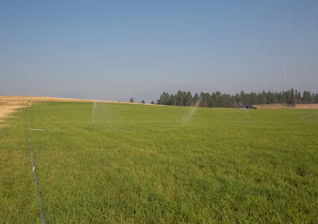 Land for sale at 1018 Majestic Pine Pl, Stevensville, MT 59870 | MLS# 30076388