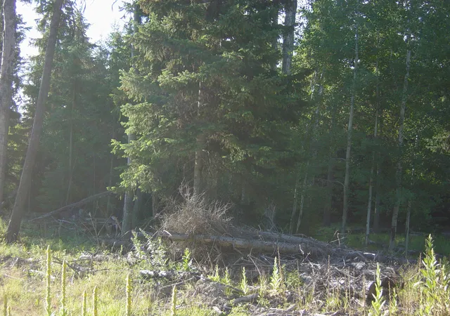 Photo 1 of Land for sale at Nhn Lot 10 Davis Crk Rd, Libby, MT 59923 | MLS# 30076622 | Listing updated on 2026-10-05