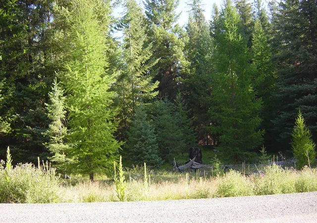 Photo 1 of Land for sale at Nhn Lot 11 Davis Crk Rd, Libby, MT 59923 | MLS# 30076626 | Listing updated on 2026-10-05