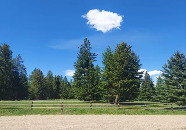 Photo 2 of Single family home for sale at 183 Washboard Dr, Condon, MT 59826 | MLS# 30076374 | Listing updated on 2026-09-17