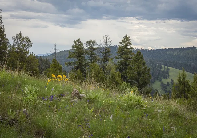 Land for sale at 10 & 11 Bull Elk, Drummond, MT 59832 | MLS# 30076634