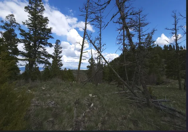 Photo 4 of Land for sale at 10 & 11 Bull Elk, Drummond, MT 59832 | MLS# 30076634 | Listing updated on 2026-09-14