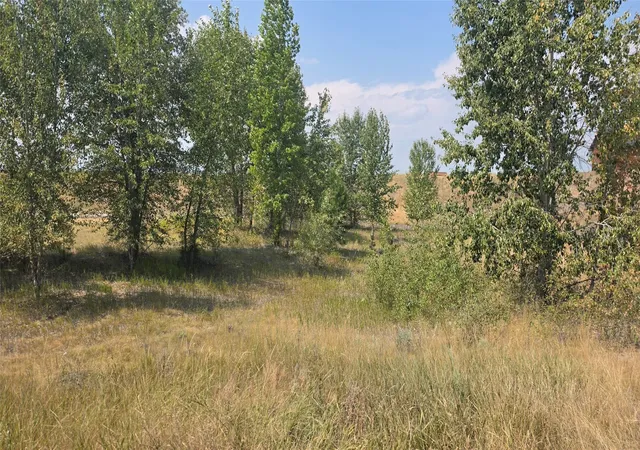 Photo 4 of Land for sale at 597 Church Dr, Kalispell, MT 59901 | MLS# 30076825 | Listing updated on 2026-09-11