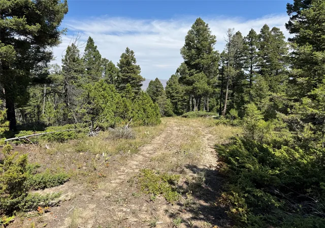 Photo 3 of Land for sale at Lot 7 Turk Rd, Helena, MT 59602 | MLS# 30076839 | Listing updated on 2026-09-14