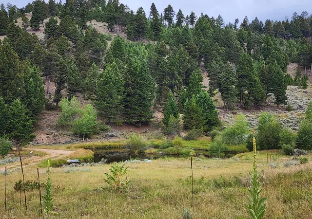 Photo 1 of Land for sale at Tbd Big Limber Gulch, Basin, MT 59631 | MLS# 30076870 | Listing updated on 2026-09-04