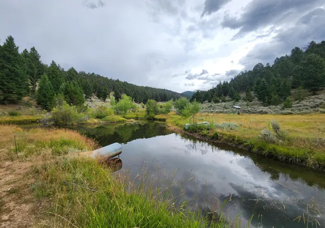 Photo 2 of Land for sale at Tbd Big Limber Gulch, Basin, MT 59631 | MLS# 30076870 | Listing updated on 2026-09-04