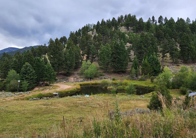 Photo 3 of Land for sale at Tbd Big Limber Gulch, Basin, MT 59631 | MLS# 30076870 | Listing updated on 2026-09-04
