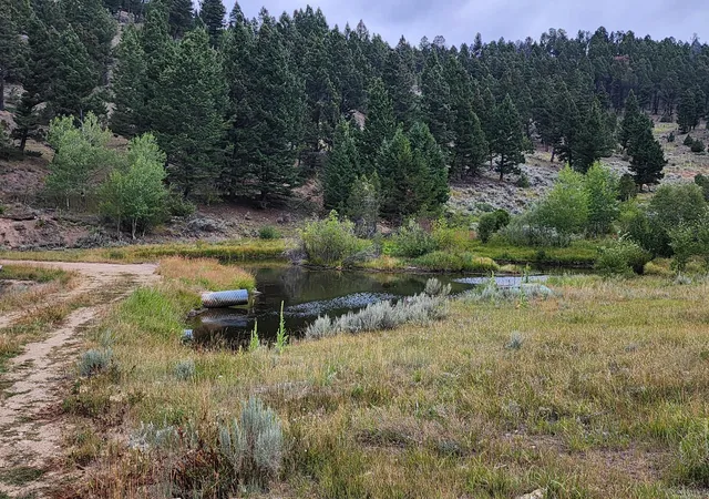 Photo 3 of Land for sale at Tbd Big Limber Gulch, Basin, MT 59631 | MLS# 30076870 | Listing updated on 2026-09-04