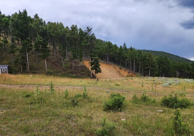 Photo 4 of Land for sale at Tbd Big Limber Gulch, Basin, MT 59631 | MLS# 30076870 | Listing updated on 2026-09-04