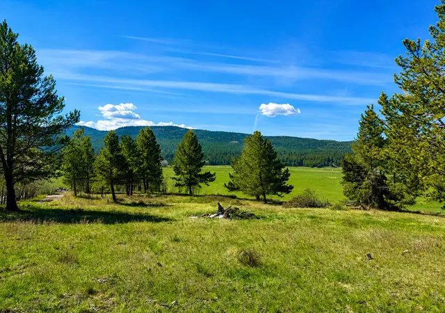 Photo 3 of Land for sale at 2890 Lower Lost Prairie Rd, Marion, MT 59925 | MLS# 30076514 | Listing updated on 2026-09-22