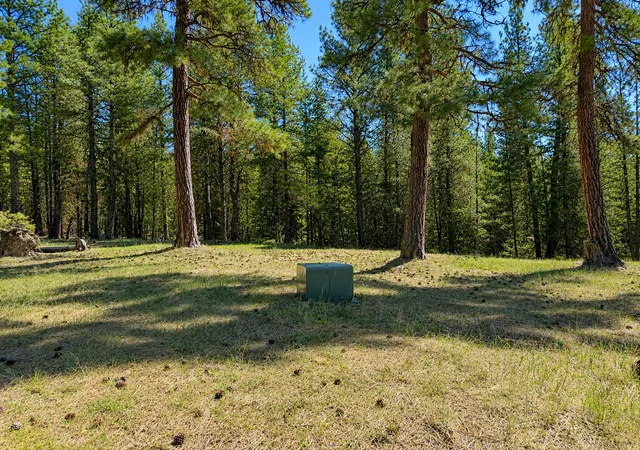 Photo 3 of Land for sale at 2890 Lower Lost Prairie Rd, Marion, MT 59925 | MLS# 30076514 | Listing updated on 2026-09-22