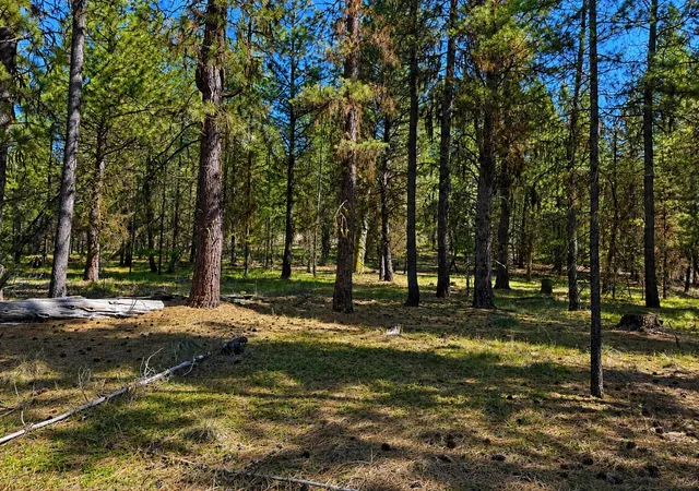 Photo 4 of Land for sale at 2890 Lower Lost Prairie Rd, Marion, MT 59925 | MLS# 30076514 | Listing updated on 2026-09-22