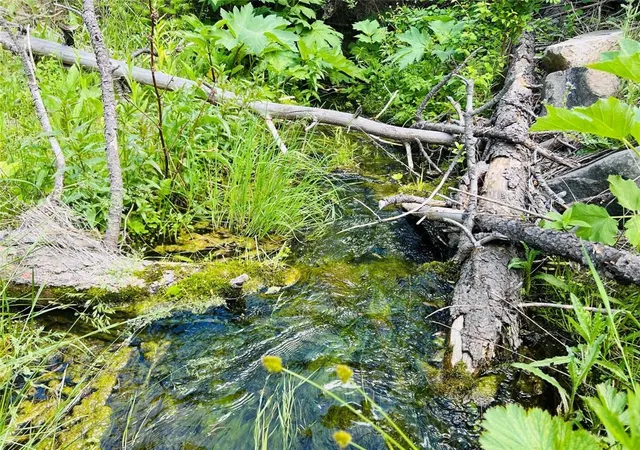 Photo 2 of Land for sale at Nhn Upper Andy Crk Ln, Cascade, MT 59421 | MLS# 30076921 | Listing updated on 2026-09-15