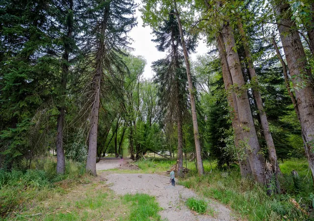 Photo 2 of Land for sale at 98 Dome Mountain Ave, Libby, MT 59923 | MLS# 30076749 | Listing updated on 2026-09-15