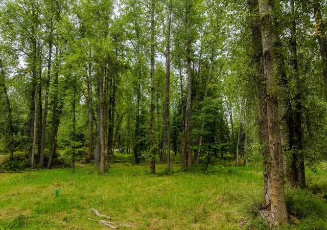 Photo 3 of Land for sale at 98 Dome Mountain Ave, Libby, MT 59923 | MLS# 30076749 | Listing updated on 2026-09-15