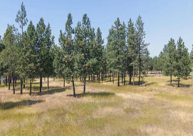 Photo 1 of Land for sale at Nhn Sherman Dr, Eureka, MT 59917 | MLS# 30076828 | Listing updated on 2026-09-14