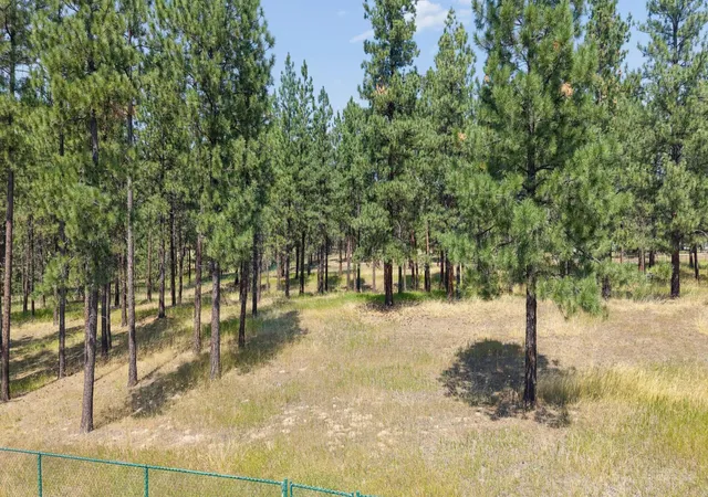 Photo 3 of Land for sale at Nhn Sherman Dr, Eureka, MT 59917 | MLS# 30076828 | Listing updated on 2026-09-14