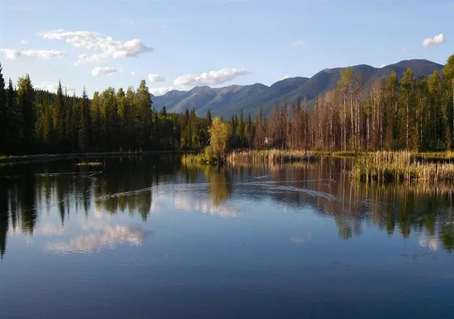 Photo 3 of Single family home for sale at 463 Tamarack Crk Rd, Whitefish, MT 59937 | MLS# 30076920 | Listing updated on 2026-09-10
