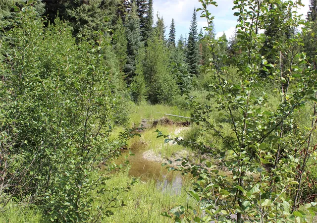 Photo 1 of Land for sale at 3380 Swamp Crk Rd, Trego, MT 59934 | MLS# 30077093 | Listing updated on 2026-08-31