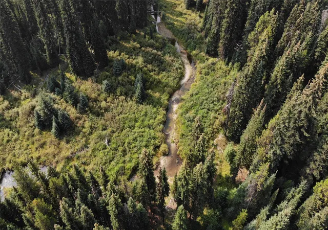 Photo 2 of Land for sale at 3380 Swamp Crk Rd, Trego, MT 59934 | MLS# 30077093 | Listing updated on 2026-08-31