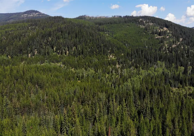 Photo 3 of Land for sale at 3380 Swamp Crk Rd, Trego, MT 59934 | MLS# 30077093 | Listing updated on 2026-08-31