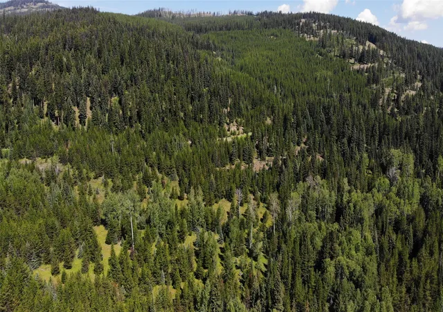Photo 3 of Land for sale at 3380 Swamp Crk Rd, Trego, MT 59934 | MLS# 30077093 | Listing updated on 2026-08-31