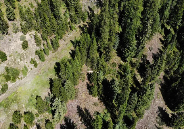 Photo 4 of Land for sale at 3380 Swamp Crk Rd, Trego, MT 59934 | MLS# 30077093 | Listing updated on 2026-08-31
