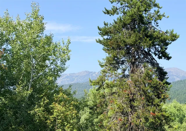 Photo 3 of Single family home for sale at 972 Colorado Ave, Whitefish, MT 59937 | MLS# 30076981 | Listing updated on 2026-09-18