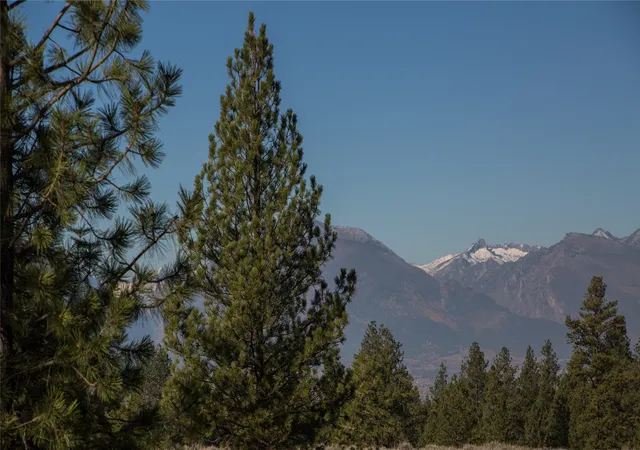 Photo 3 of Land for sale at Nhns Lord Byron Trl, Hamilton, MT 59840 | MLS# 30076383 | Listing updated on 2026-09-14