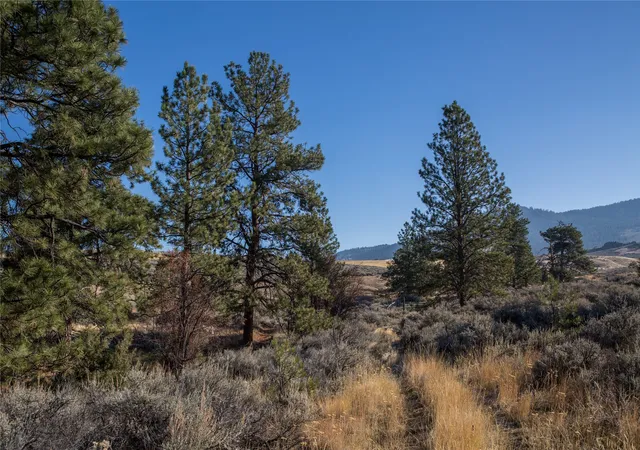 Photo 4 of Land for sale at Nhns Lord Byron Trl, Hamilton, MT 59840 | MLS# 30076383 | Listing updated on 2026-09-14
