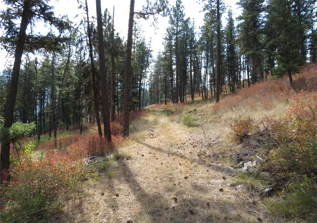 Photo 1 of Land for sale at Nhn Rosco Road 35, Alberton, MT 59820 | MLS# 30077257 | Listing updated on 2026-09-16