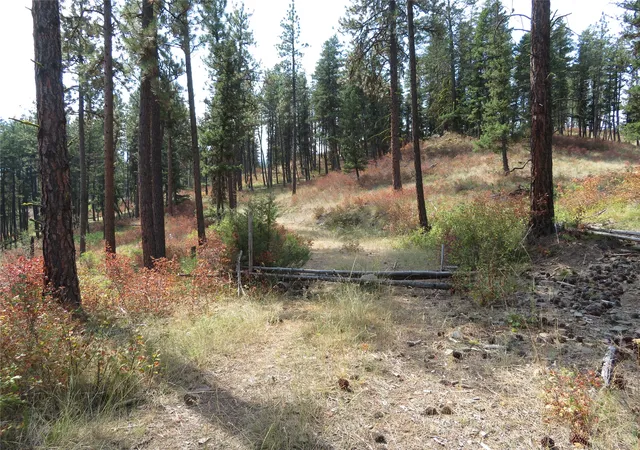 Photo 2 of Land for sale at Nhn Rosco Road 35, Alberton, MT 59820 | MLS# 30077257 | Listing updated on 2026-09-16