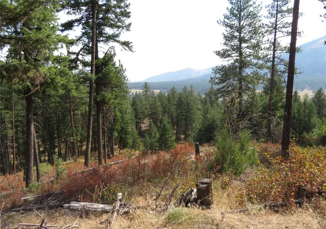 Photo 3 of Land for sale at Nhn Rosco Road 35, Alberton, MT 59820 | MLS# 30077257 | Listing updated on 2026-09-16