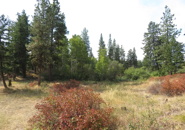 Photo 3 of Land for sale at Nhn Rosco Road 35, Alberton, MT 59820 | MLS# 30077257 | Listing updated on 2026-09-16
