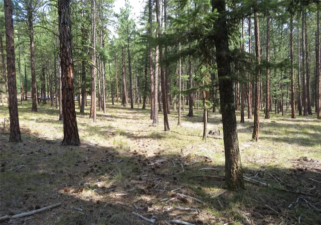 Photo 1 of Land for sale at Nhn Rosco Rd, Alberton, MT 59820 | MLS# 30077271 | Listing updated on 2026-09-16