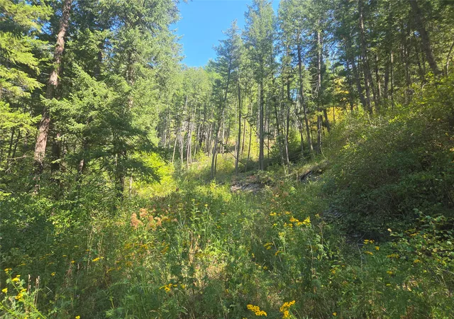 Photo 3 of Land for sale at Hwy 200 E Hwy 200, Bonner, MT 59823 | MLS# 30077379 | Listing updated on 2026-09-14