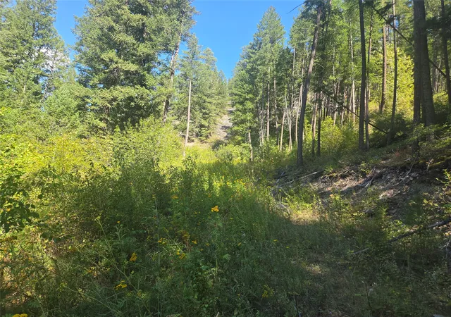 Photo 3 of Land for sale at Hwy 200 E Hwy 200, Bonner, MT 59823 | MLS# 30077379 | Listing updated on 2026-09-14