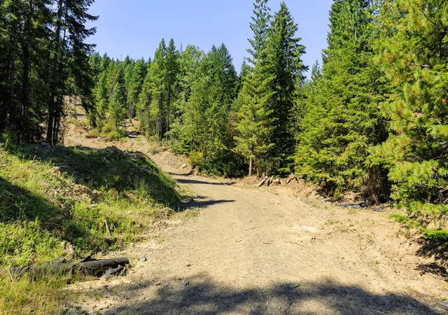 Photo 1 of Land for sale at 208 Elk Creek Rd, Heron, MT 59844 | MLS# 30077342 | Listing updated on 2026-08-30