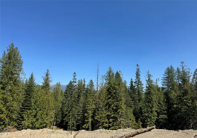 Photo 4 of Land for sale at 208 Elk Creek Rd, Heron, MT 59844 | MLS# 30077342 | Listing updated on 2026-08-30