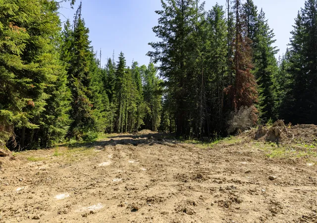 Photo 5 of Land for sale at 208 Elk Creek Rd, Heron, MT 59844 | MLS# 30077342 | Listing updated on 2026-08-30