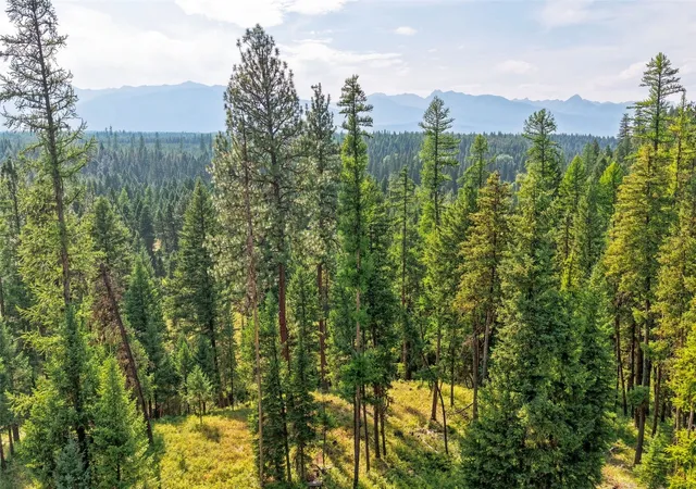 Photo 2 of Land for sale at Nhn Hwy 83 N, Condon, MT 59826 | MLS# 30077535 | Listing updated on 2026-09-05