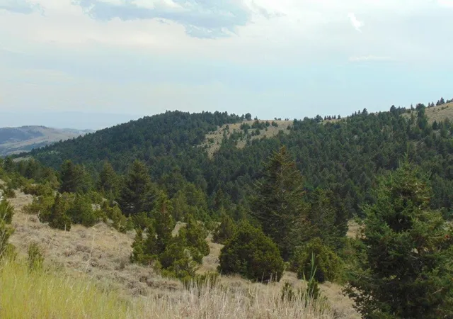 Photo 5 of Land for sale at Tbd West Fork Indian Creek Rd, Townsend, MT 59644 | MLS# 30077580 | Listing updated on 2026-08-31