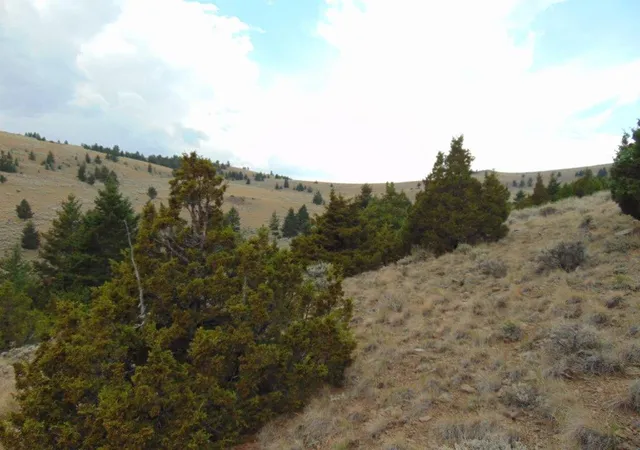 Photo 69 of Land for sale at Tbd West Fork Indian Creek Rd, Townsend, MT 59644 | MLS# 30077580 | Listing updated on 2026-08-31