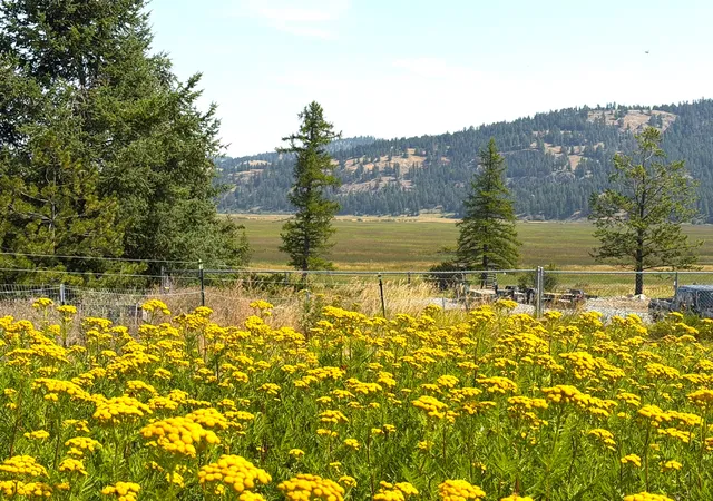 Photo 1 of Land for sale at 200 Cottage Lane, Kila, MT 59920 | MLS# 30077579 | Listing updated on 2026-09-11
