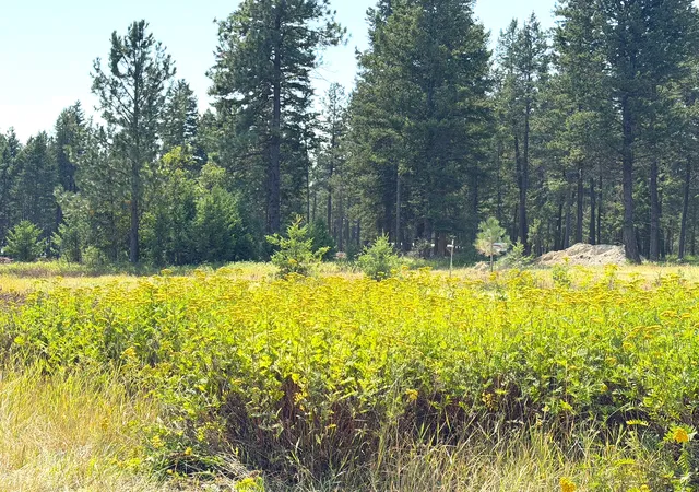 Photo 2 of Land for sale at 200 Cottage Lane, Kila, MT 59920 | MLS# 30077579 | Listing updated on 2026-09-11