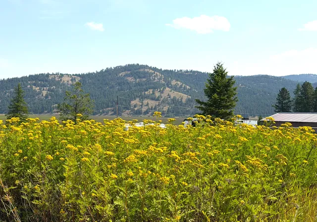 Photo 2 of Land for sale at 200 Cottage Lane, Kila, MT 59920 | MLS# 30077579 | Listing updated on 2026-09-11